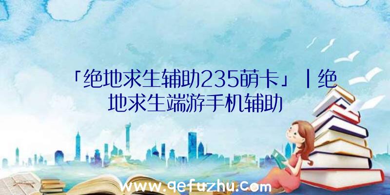 「绝地求生辅助235萌卡」|绝地求生端游手机辅助